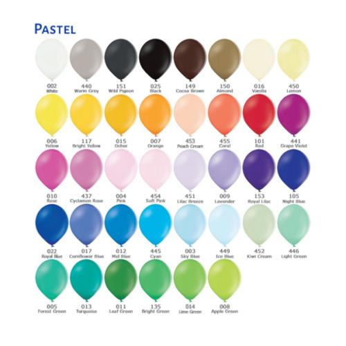 Pastel kleuren ballonnen - Yana Gifts