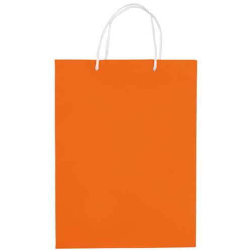 Draagtas papier met lus groot formaat LT91513 - Yana Gifts