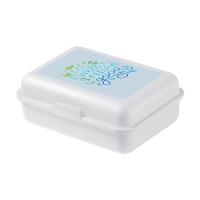 Eco lunchbox CL3742 - Yana Gifts