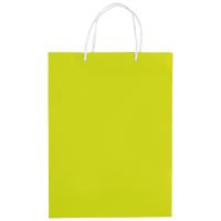 Draagtas papier met lus groot formaat LT91513 - Yana Gifts